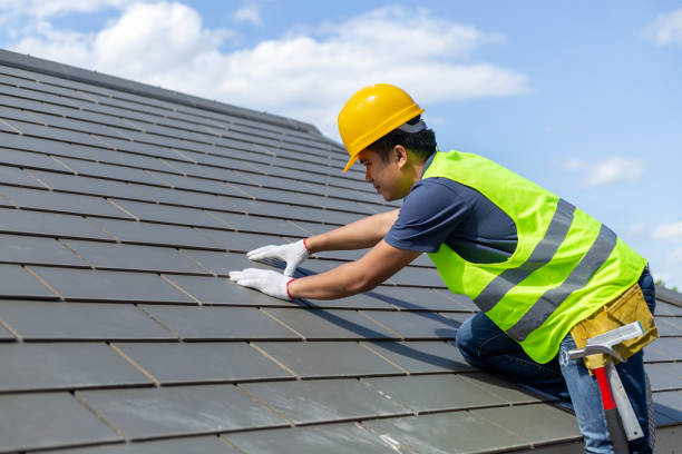 Best Roof Repair Specialists  in Mount Morris, IL