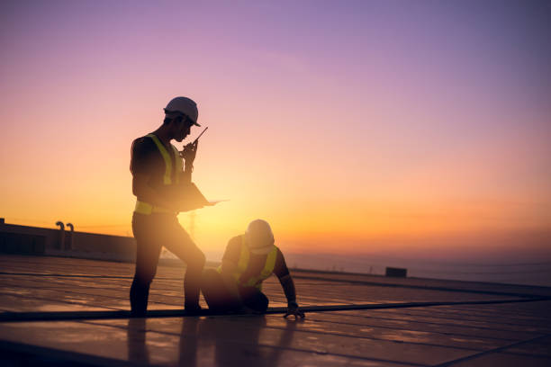 Best Gutter Installation and Roofing  in Mount Morris, IL