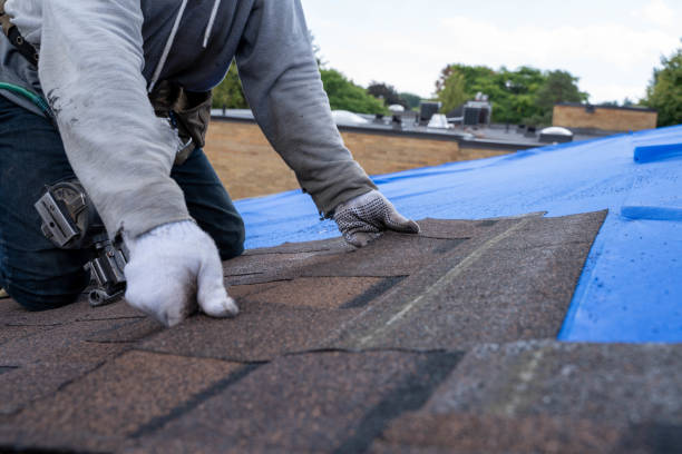 Best Residential Roofing Contractor  in Mount Morris, IL