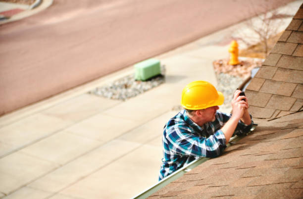 Best Roof Leak Repair  in Mount Morris, IL