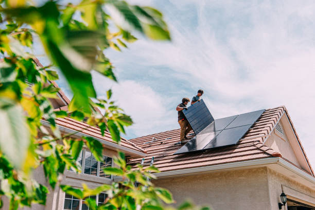 Best Flat Roof Repair Services  in Mount Morris, IL