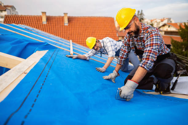 Best Best Roofing Contractors  in Mount Morris, IL