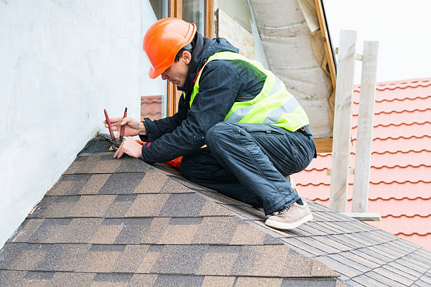 Best Gutter Installation and Roofing  in Mount Morris, IL
