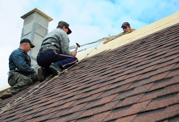 Best Roof Waterproofing Services  in Mount Morris, IL