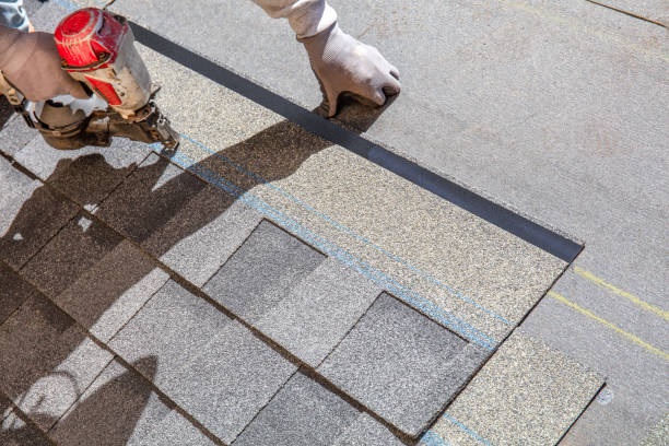 Best Roof Gutter Cleaning  in Mount Morris, IL