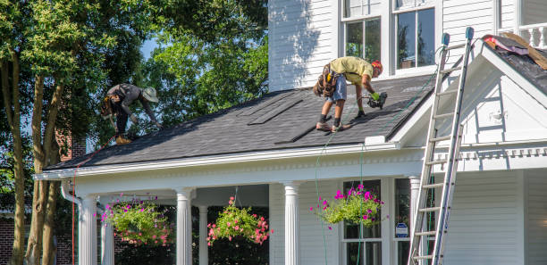 Best Shingle Roofing Installation  in Mount Morris, IL